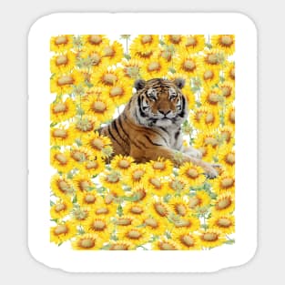 Tiger in sunflowers Sticker